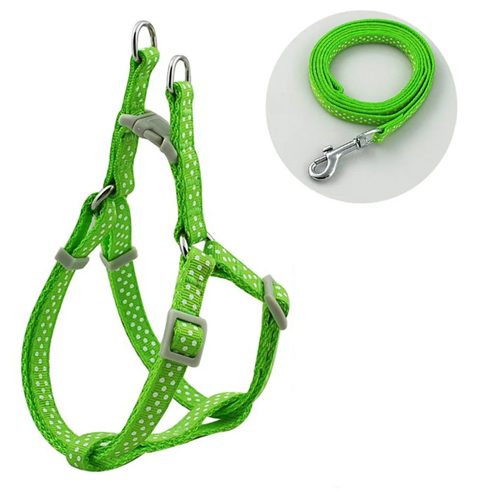 Поводок нейлоновый в горошек для прогулок ширина 1 0 см|pet harness|leash setwalking leash |