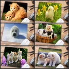 Mairuige, большая акция, детские животные, милый кот, собака, высокое качество, ноутбук, компьютер, коврик для мыши, размер для 180x220x2 мм, резиновые коврики для мыши