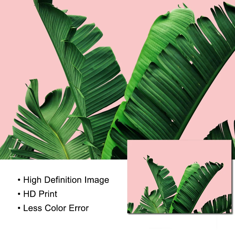 Растение банановый лист художественный принт постер Холст Картина Настенная