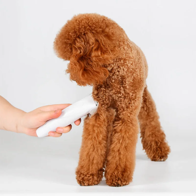 Xiaomi Mijia Pawbby Бритва для домашних животных 2000 мАч Съемная Безопасная бритва для домашних животных низкая вибрация и низкий уровень шума Бритва для домашних животных 3 Новинка