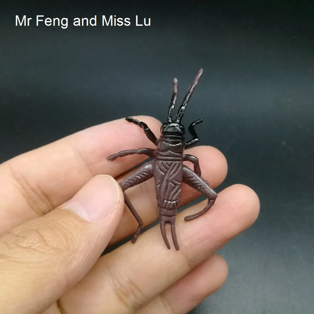 Коричневая маленькая саранча вставить шутки остроты Новинка Игрушки Наука