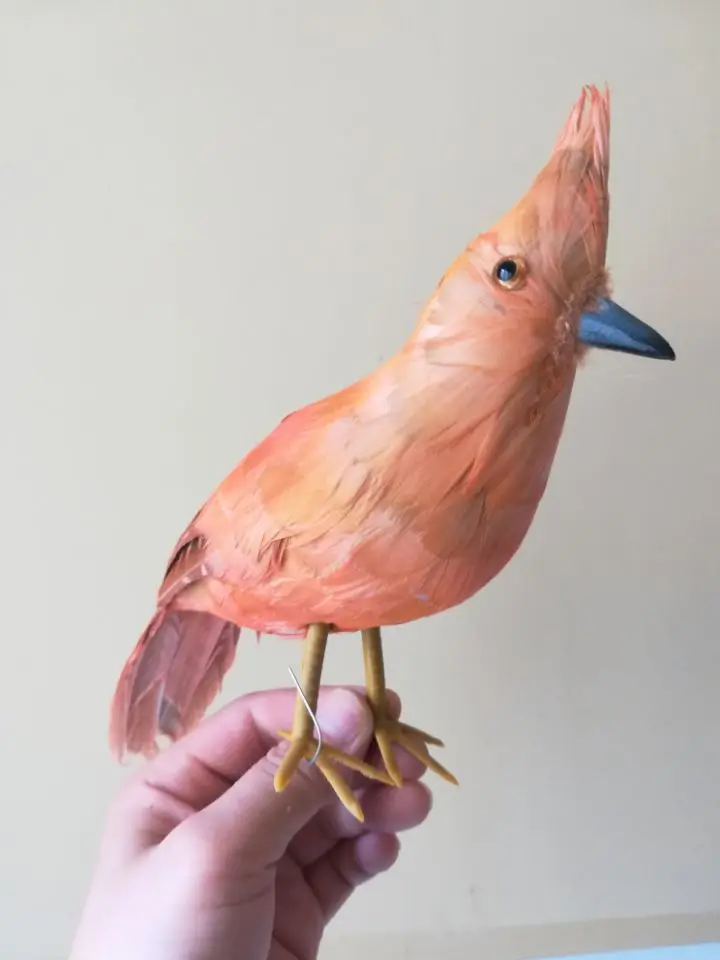 Пена и перья, коричневатая псевдосейсара, около 25 см, имитация птицы, жесткая искусственная птица. Украшение для дома и сада, Рождественский подарок w0688