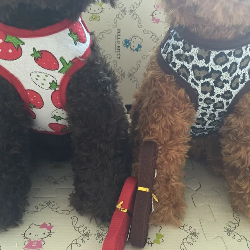 4 вида цветов дышащая питомца собаку ошейник и поводок собаки сбруя жилет