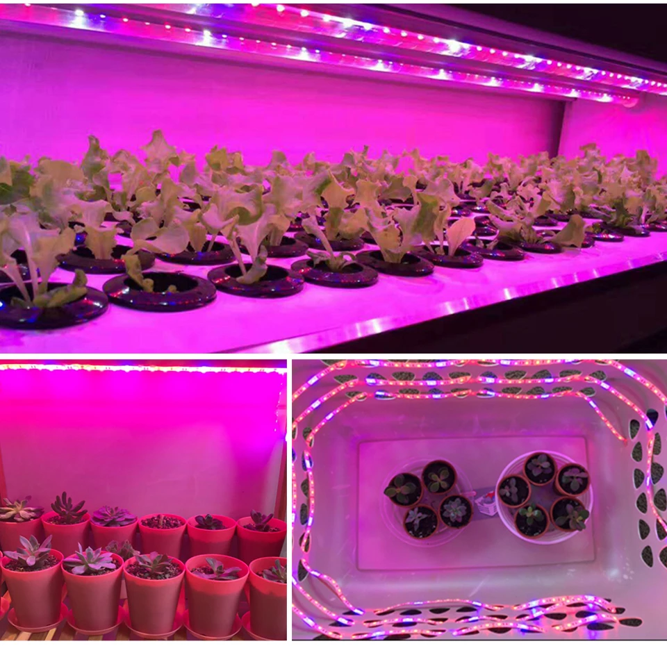 5 м полный спектр Led Grow Light красный синий аквариум растущая лампа для гидропоники