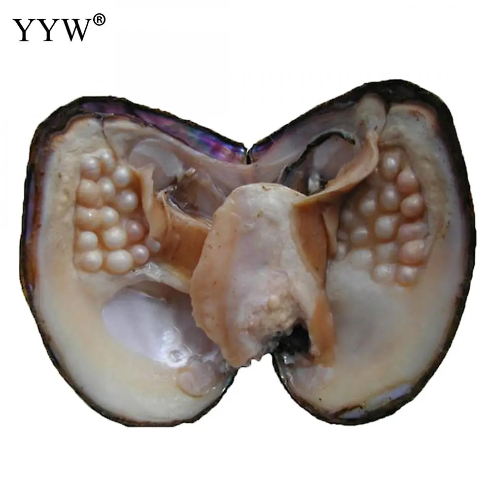 

1 шт., хит продаж, жемчужная Oyster One Pearl Oyster с пресноводной жемчужиной и искусственным жемчугом 20-25, аксессуары для натуральных ювелирных издел...