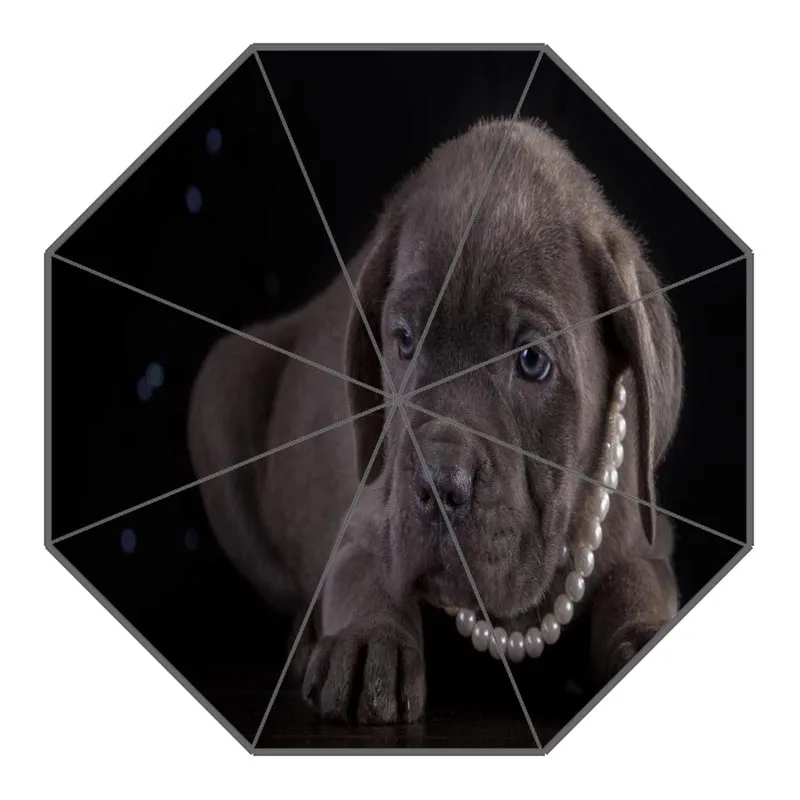 Custom Cane Corso Dog Umbrellas Polyester Fabric High Quality Sunny And Rainy Umbrella Non-Automatic Umbrella For Adults