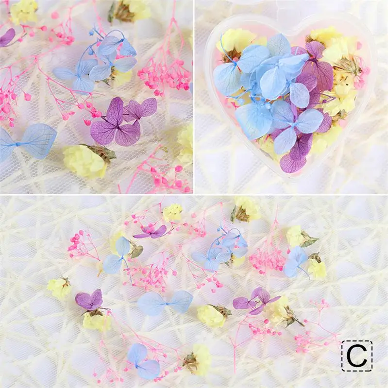Mixed Flowers-C 12 сеток/коробка 3D Стразы для ногтей натуральные красочные сушеные цветы украшения для УФ-гель для дизайна ногтей лак украшения аксессуары - Цвет: Mixed Flowers-C
