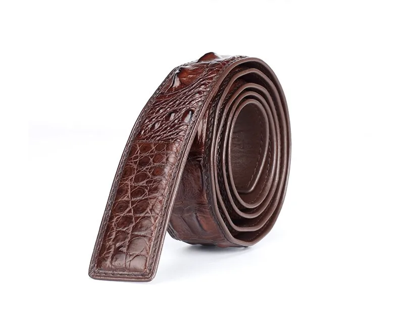 Authentic Real Crocodile Head Skin Male Belt without Buckle Genuine Exotic Alligator Leather Belt Classical Men's Waist Strap