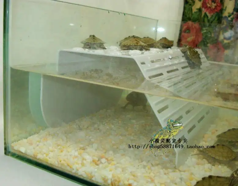 28 см прозрачный акриловый терраса рептилии Террариум черепаха плавучий опорная