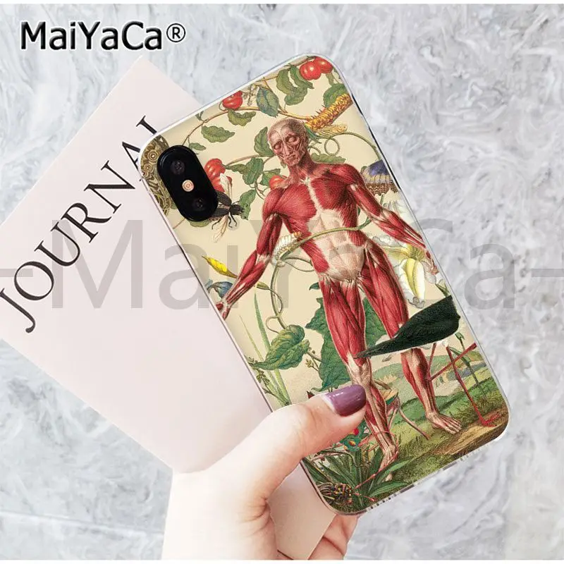 MaiYaCa, медицинский, человеческий, головной, меридиан, почка, искусство, Модный чехол для телефона, для iphone 11 pro 8 7 66S Plus X 5S SE XR XS MAX - Цвет: 10