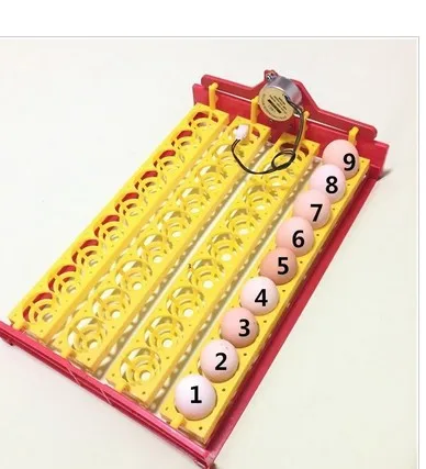 36 многофункциональных автоматических инкубаторов поворот яиц кур голубей