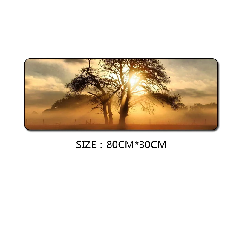 Model H FFFAS 80X30 см природа sunrise коврик для мыши большой ноутбук компьютер ПК клавиатура и коврик для мыши лазерная печать Высокая эффективность противоскользящая - Цвет: Model H