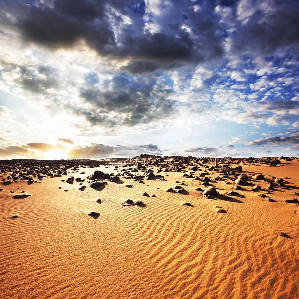 Allenjoy photo background Desert photocall sky sunshine stone golden sand photography backdrop backgrounds for studio | Электроника