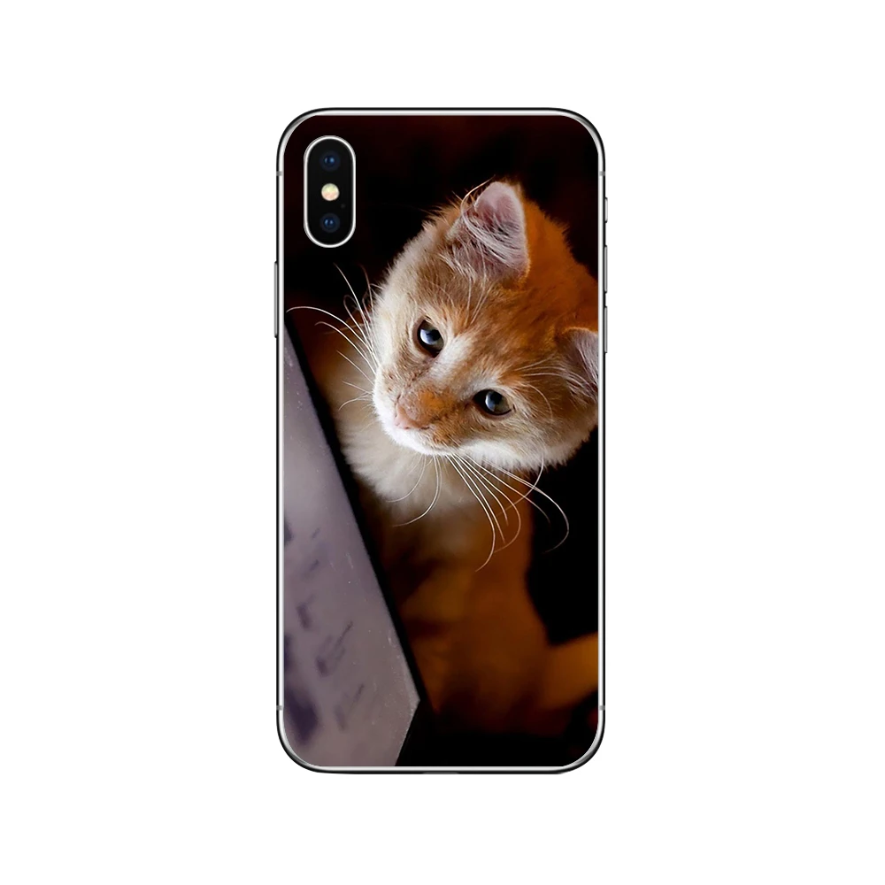 Patterned 3 Чехлы для телефонов ciciber с милым котом котенком для iPhone 11 Pro XR X XS MAX Funda Coque для Iphone 7 8 5S 6 6S Plus SE Мягкий ТПУ чехол Капа - Цвет: Patterned 3