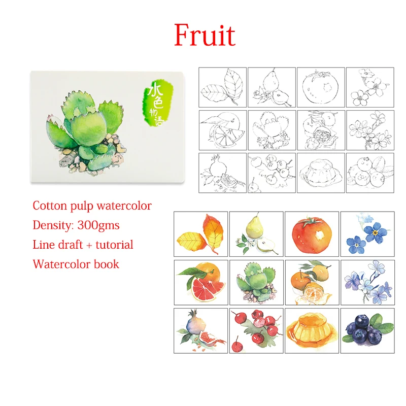 fruit Dainayw 300gms 12Sheets Professional Painting Tutorial Watercolor Paper Painted Water-soluble Book Line draft For Artist Student - Цвет: fruit