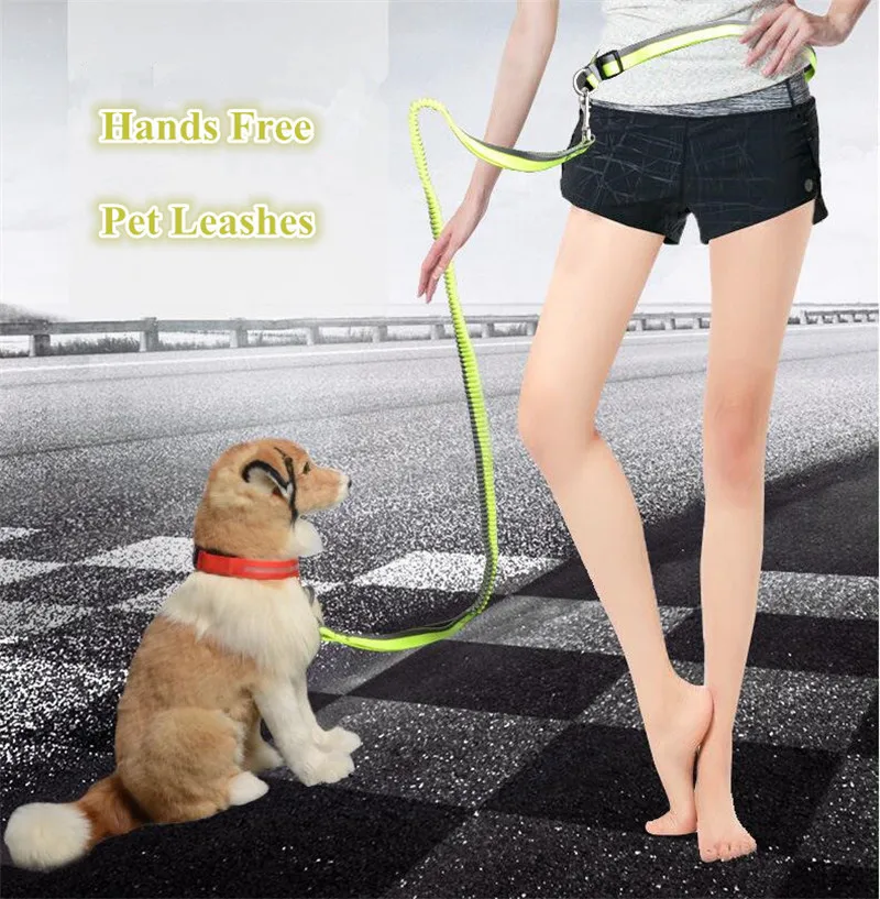 hands free pet Leashes Nylon dog Pull strap for meidum and big dogs B36 | Дом и сад