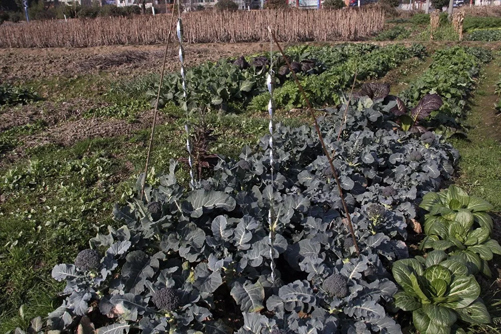 Отпугиватель птиц напугивающее устройство для скручивания ветром декоративное