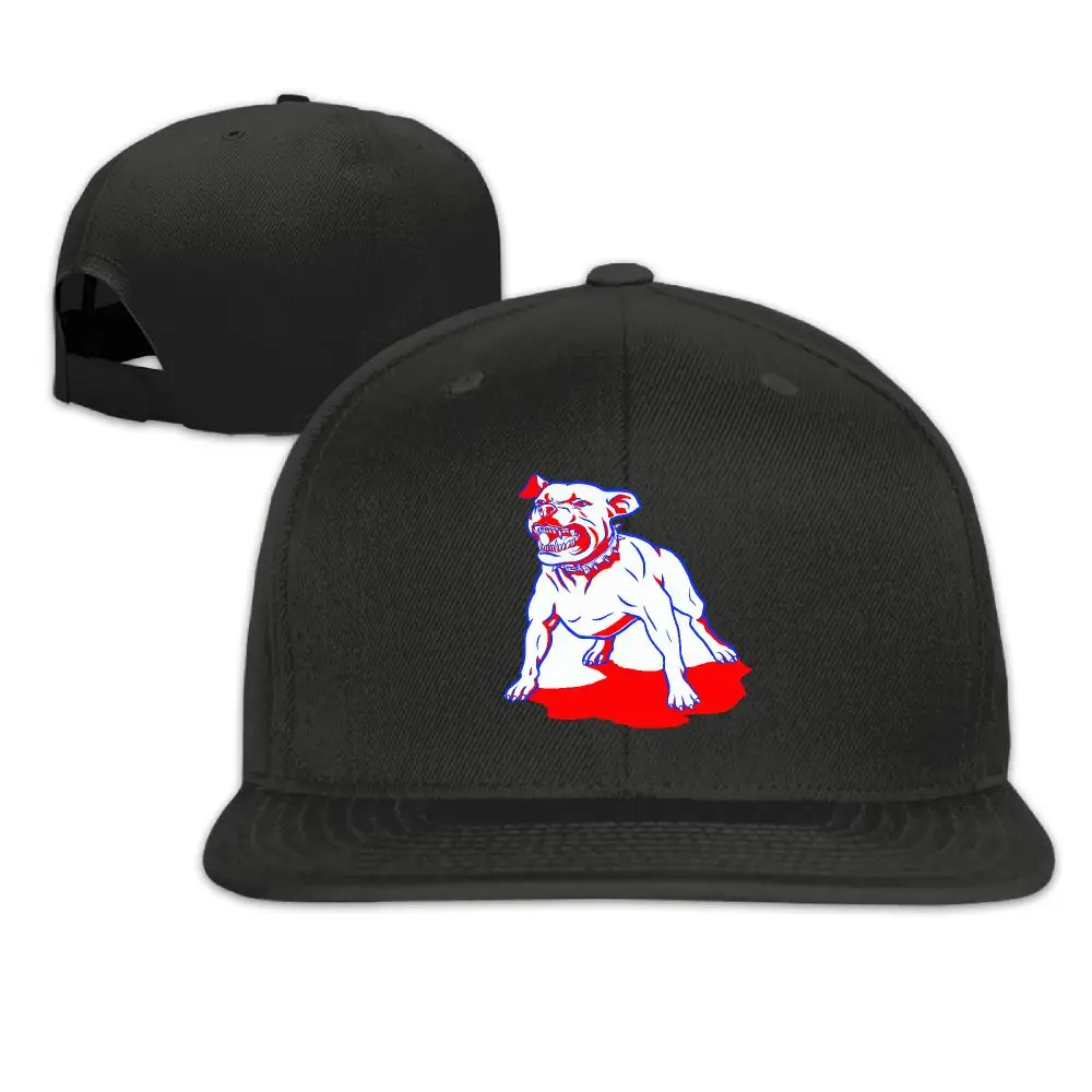 SAMCUSTOM кепка бейсболка боковая 3D печать американская bully pitbull Повседневная Кепка