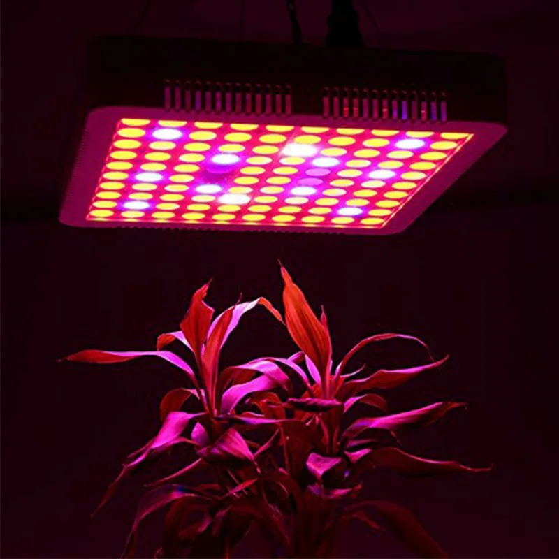 Timing 2000W 100 LED Grow Lamp Light For Plants Indoor Full Spectrum Tent Garden Flower Seed Growing Fitolampy Fito Phyto Growth | Лампы и