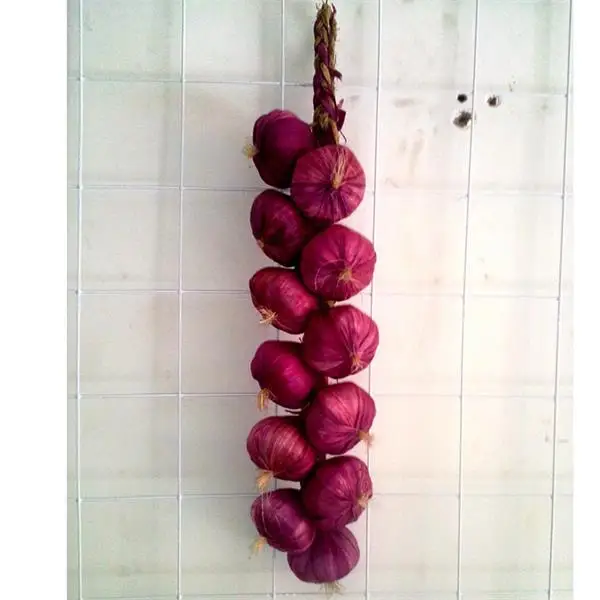 Red garlic Имитация фруктов и овощей DIY праздничные принадлежности искусственный декор для ресторана кухни дома настенный Декор Поддельные - Цвет: Red garlic