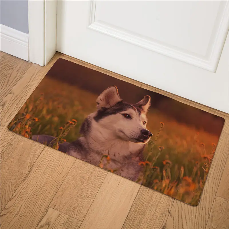 12 Siberian Husky введите дверной коврик для кухни коврик под дверь коврик на кухню коврик для дома домашние Нескользящие коврики для ванной приветственные напольные коврики - Цвет: 12