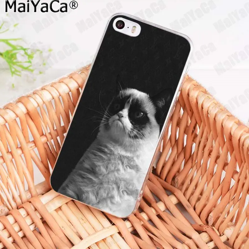 MaiYaCa Черный кот глазящий глаз в продаже! Роскошный классный чехол для телефона iPhone 11 pro 8 7 6 6S Plus X 5 5S SE XR XS MAX - Цвет: 6