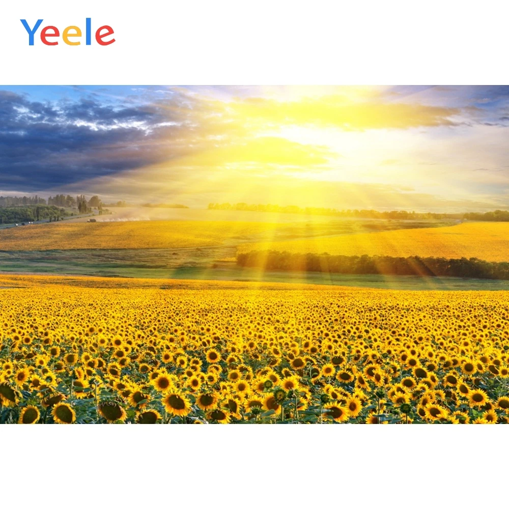 Yeele голубое небо белые облака Сияющий Подсолнух пейзаж Фотография искусственные