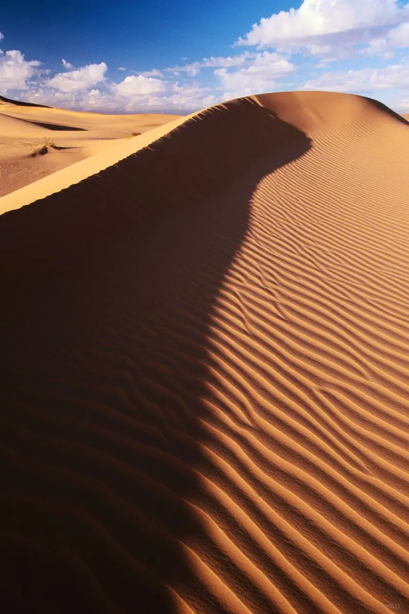 Пустыни и полупустыни россии животный мир. Краткая характеристика полупустынь. Описание природных зон. Доклад про пустыни. Геологическая деятельность ветра.