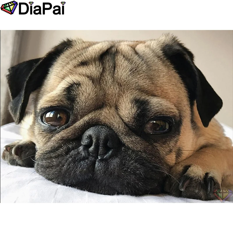 

DIAPAI Diamond Painting Cross Stitch "Animal dog"Full Square Round Diy 5d Diamond Embroidery Picture Rhinestone Art A25764