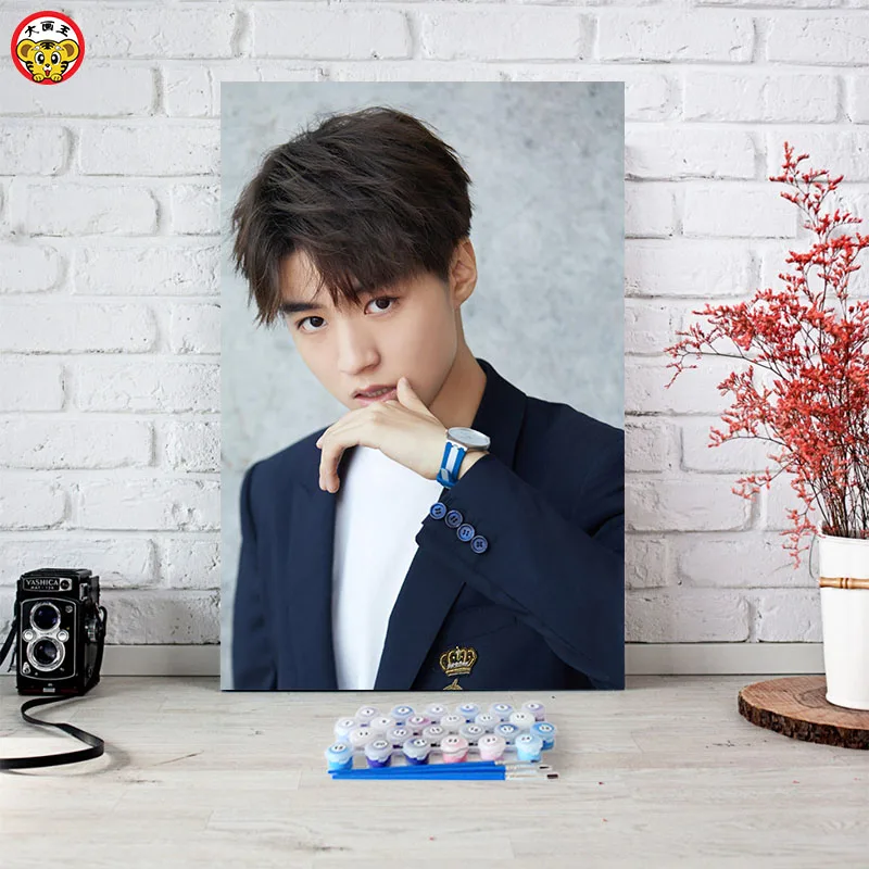 TFBOYS звезда певец TF член семьи большая картина король DIY Цифровая живопись маслом Ручная роспись граффити звезда декоративная живопись - Цвет: 9863