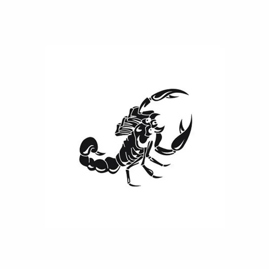 2018 Новый горячий автомобиль-Стайлинг C Книги по искусству Ун поступление