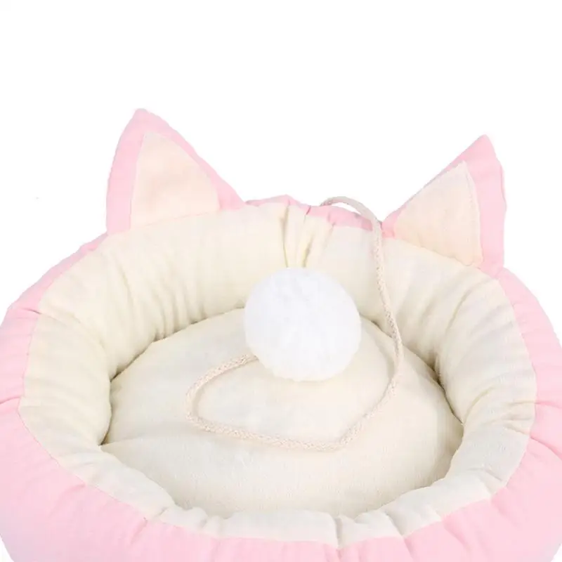 

Pet Products