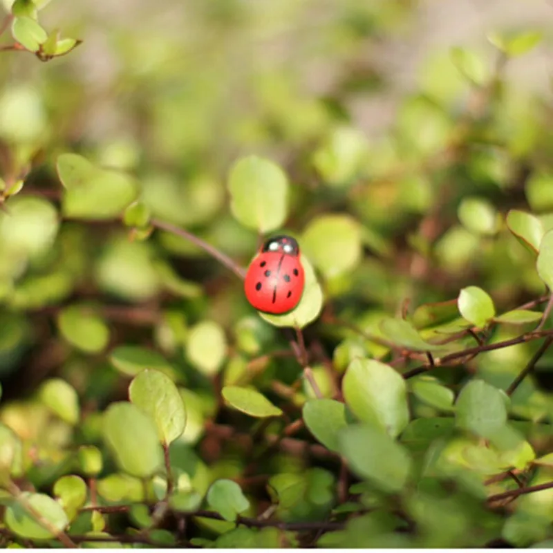 Новинка, Лидер продаж, 10 шт. миниатюрные украшения из смолы Coccinella Septempunctata, поделки своими руками, маленькие садовые украшения