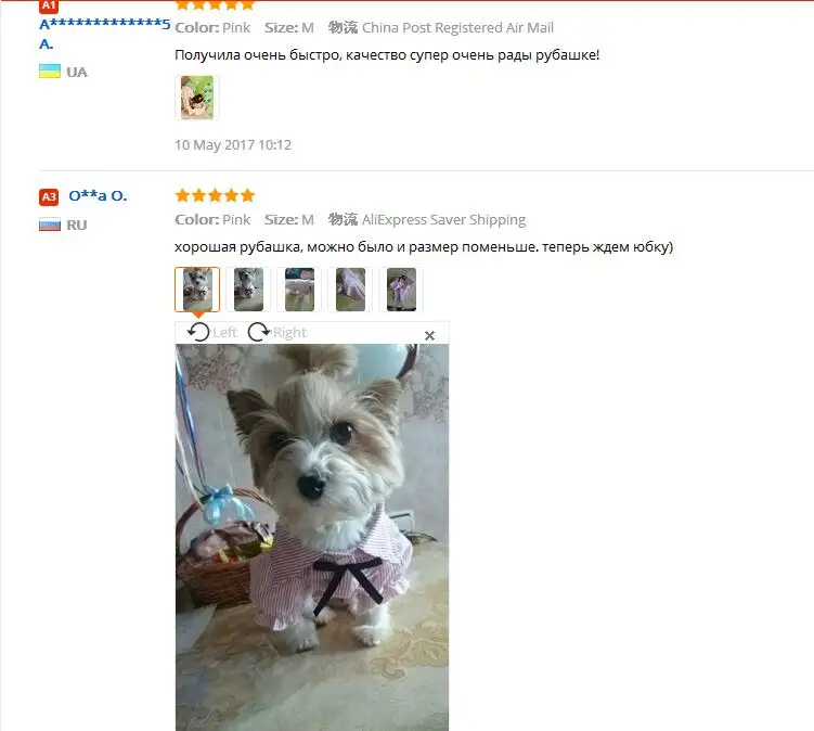 Лучшее качество мода часть собака рубашка хороший галстук-бабочка очень милая