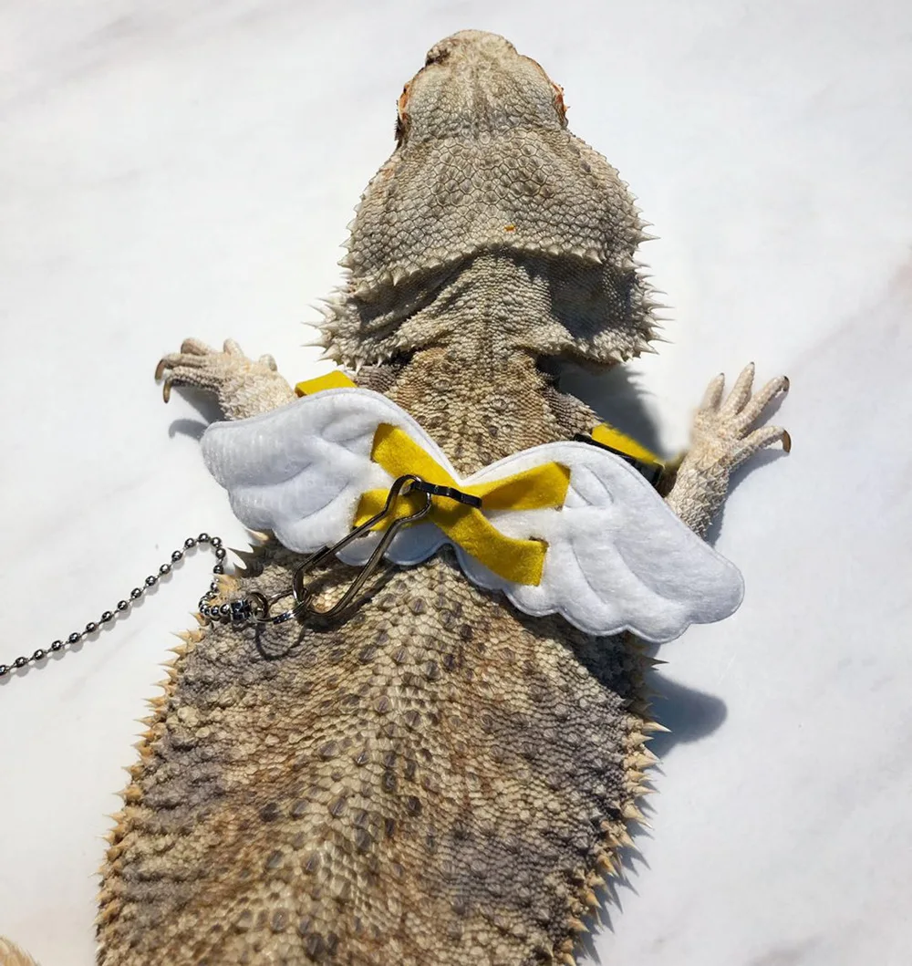 Новый поводок для ящерицы с крыльями ангела домашних животных рептилий
