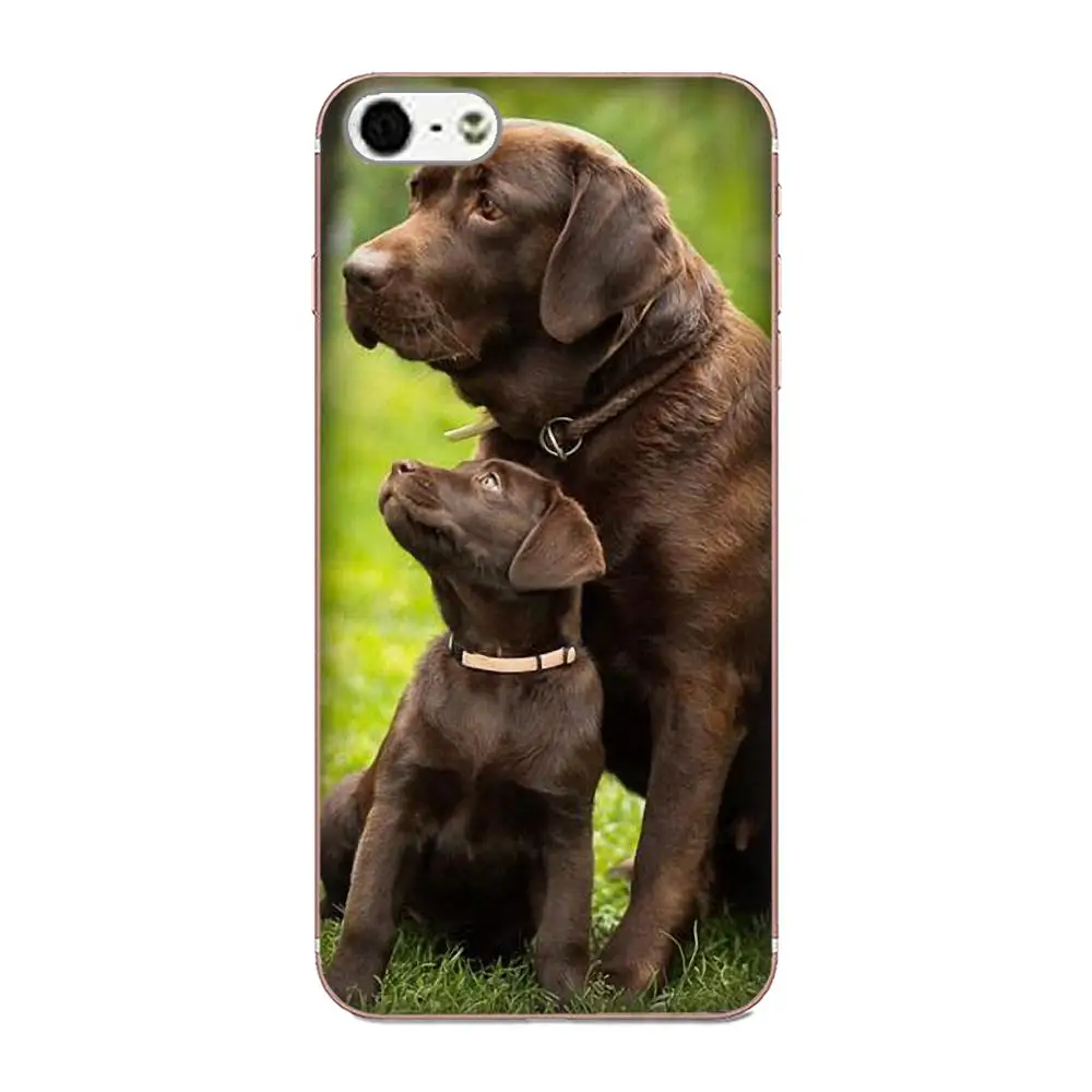 For LG Nexus 5 5X V10 V20 V30 V40 2017 2018 2019 TPU Cases Skin Puppy Labrador Retriever Dog | Mobile Phone &amp Covers