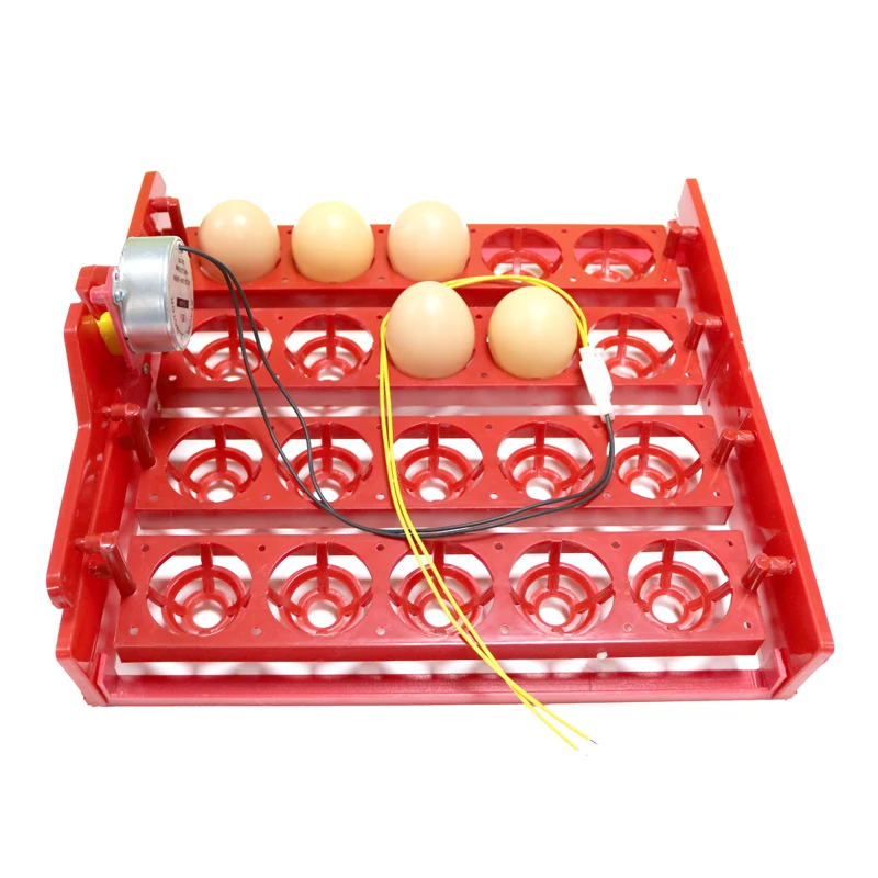 20 Egg Incubator Turn Eggs Tray Eggtester Automatically Turn The Eggs Experimental Teaching Equipment Voltage 220V / 110V / 12V