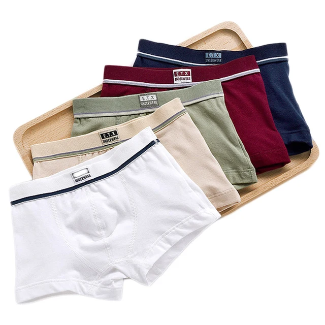 Boys Underwear Children Panties Boys Cotton Boxer Shorts Children's Panties Kids Underwear For 2-16 years 5 pcs 2