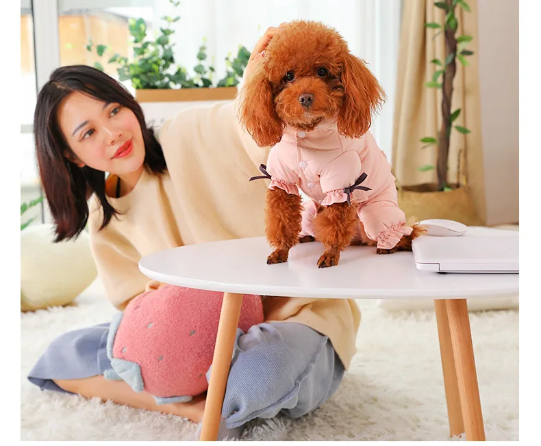Hoopet собака теплая одежда куртка для животных с капюшоном кошка Осень Зима Одежда кошка костюм маленький костюм для собаки одежда