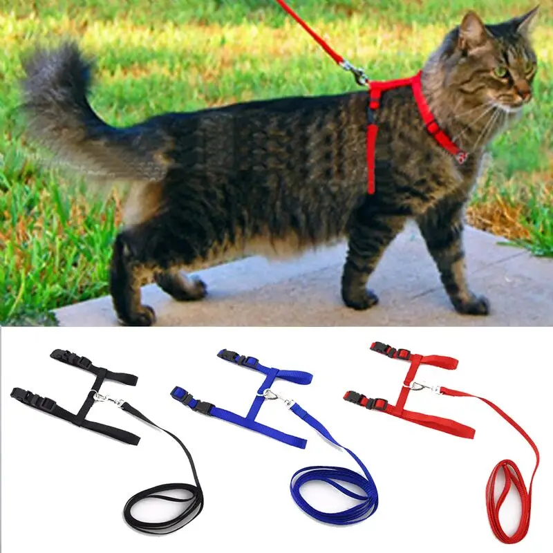 

Поводок для кошек, регулируемый нейлоновый аксессуар для домашних животных