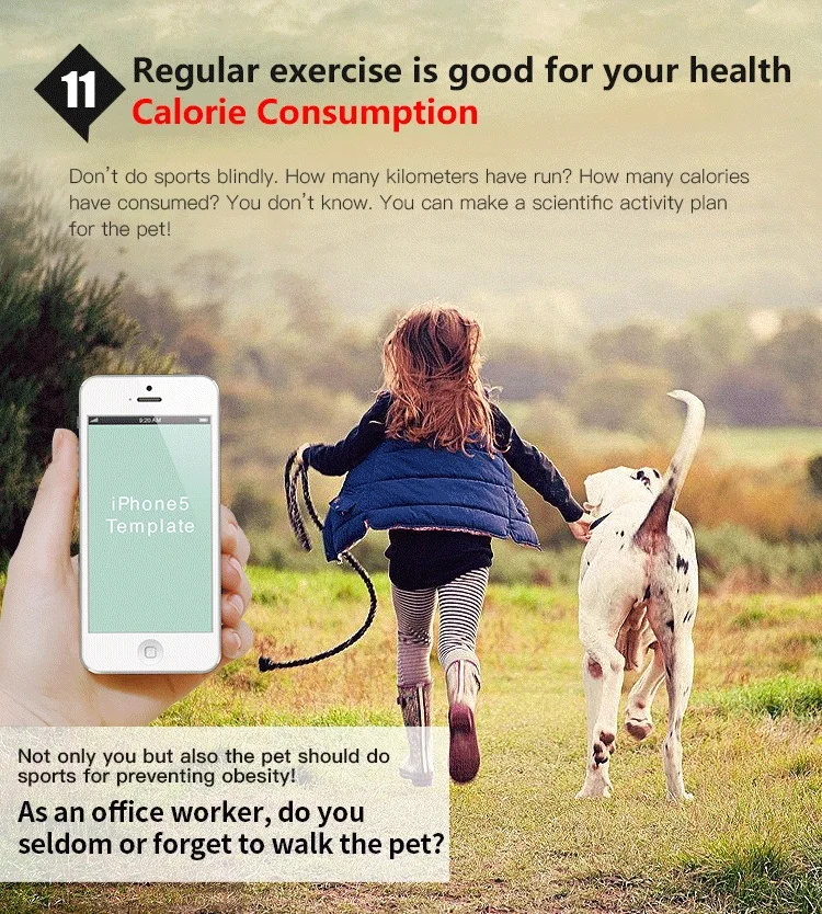 Водонепроницаемый ошейник для собак и кошек GPS-трекер отслеживания в реальном