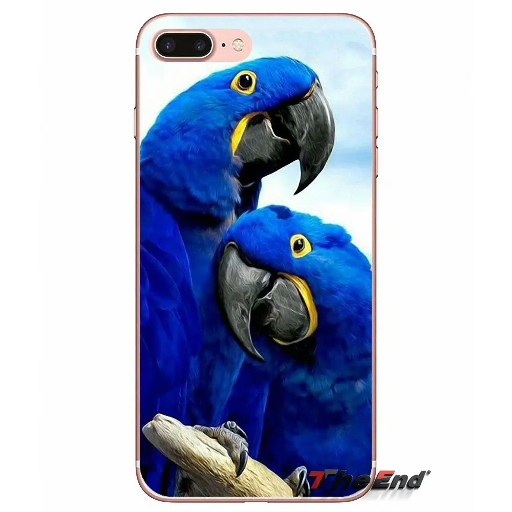 Прозрачный чехол из ТПУ с радужным попугаем для iPhone X 4 4S 5 5S 5C SE 6 6S 7 8 Plus Samsung Galaxy J1 J3
