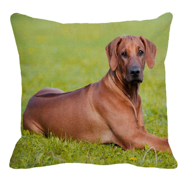 XUNYU Rhodesian Ridgeback наволочки с изображением собак для домашнего дивана квадратная наволочка для подушки с животным узором декоративная наволочка для подушки 45X45 см AC018 - Цвет: 5