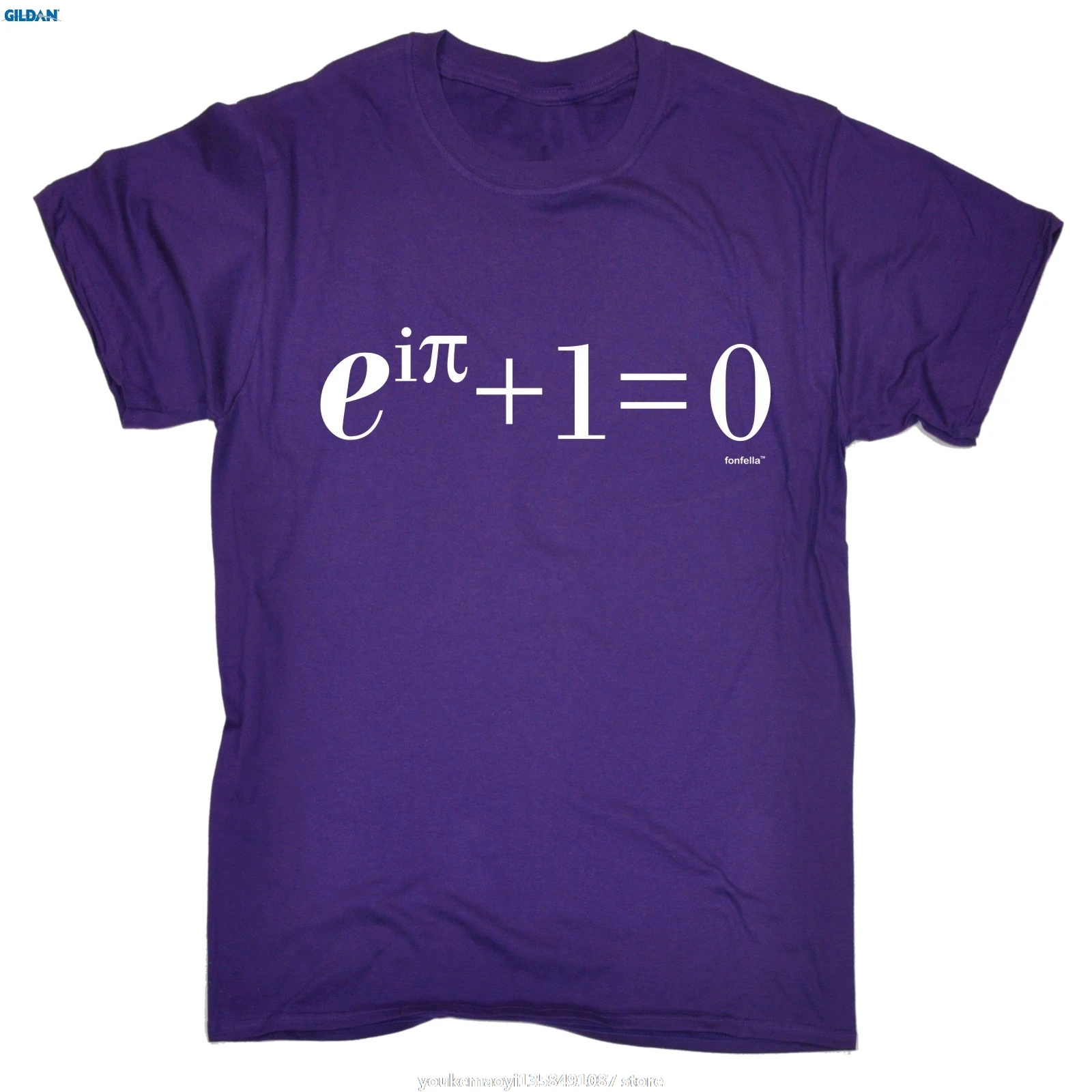 GILDAN Euler Equation футболка посвященная математике колледж умник учитель математики