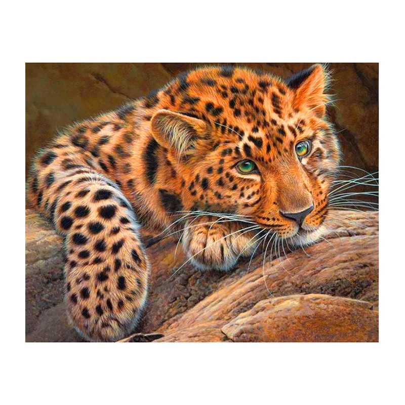 Камни в форме ромба круглый дрель 5D DIY алмазная живопись с леопардовым принтом из