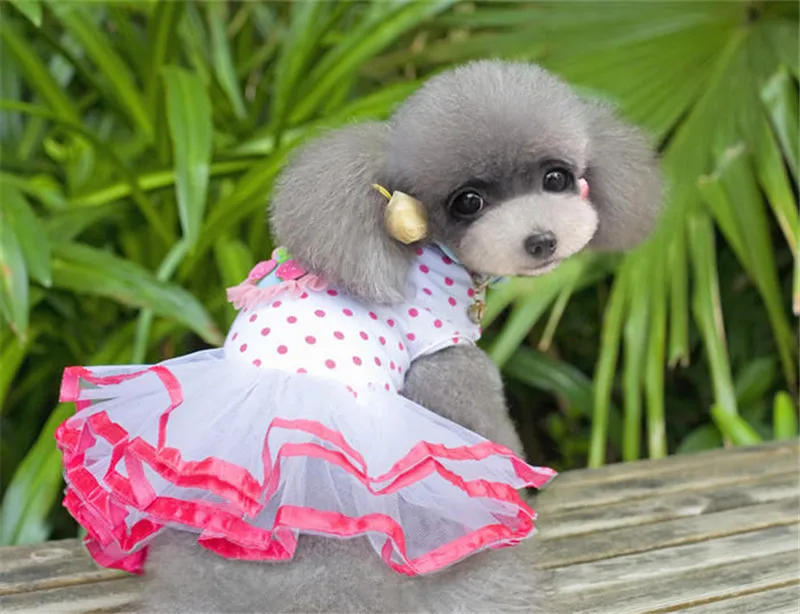Новые 2015 собака платье для маленький щенок Кошка Собака одежда размеры s и m ini