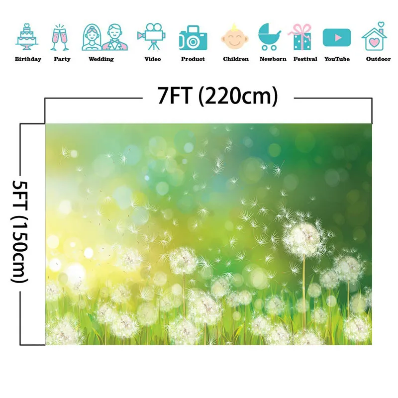 NeoBack Летний зеленый фон с природными пейзажами Одуванчик солнце боке Фотография