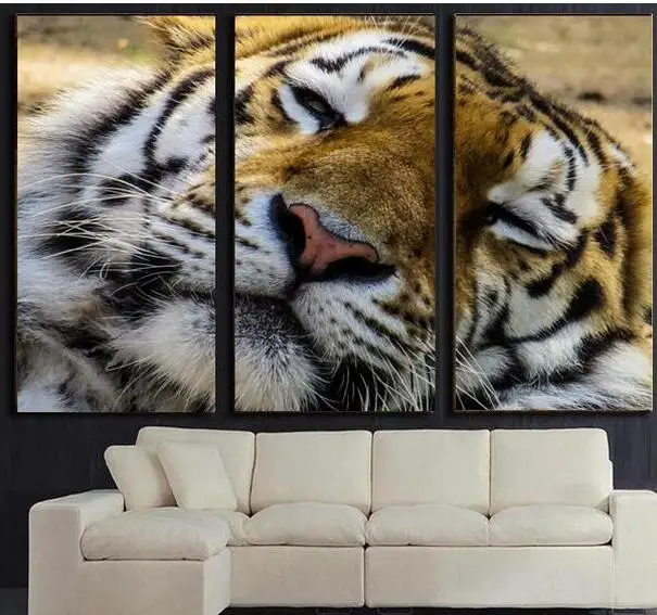 3 шт./набор настенные картины без рамы с принтом спящего тигра|art wall|pictures decorativewall art