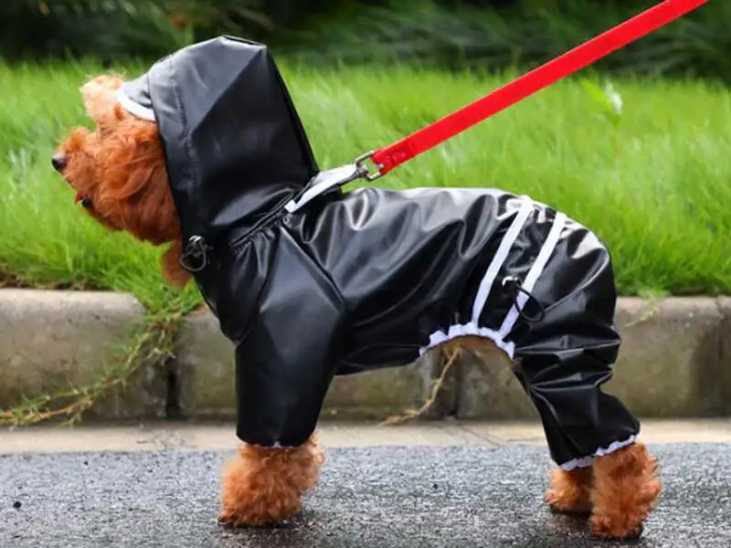 DOGGYZSTYLE одежда для домашних животных, плащ для собак, прозрачный Дождевой Плащ из полиэстера, дождевик для домашних животных, одежда для маленьких собак, S-XXL - Цвет: Black