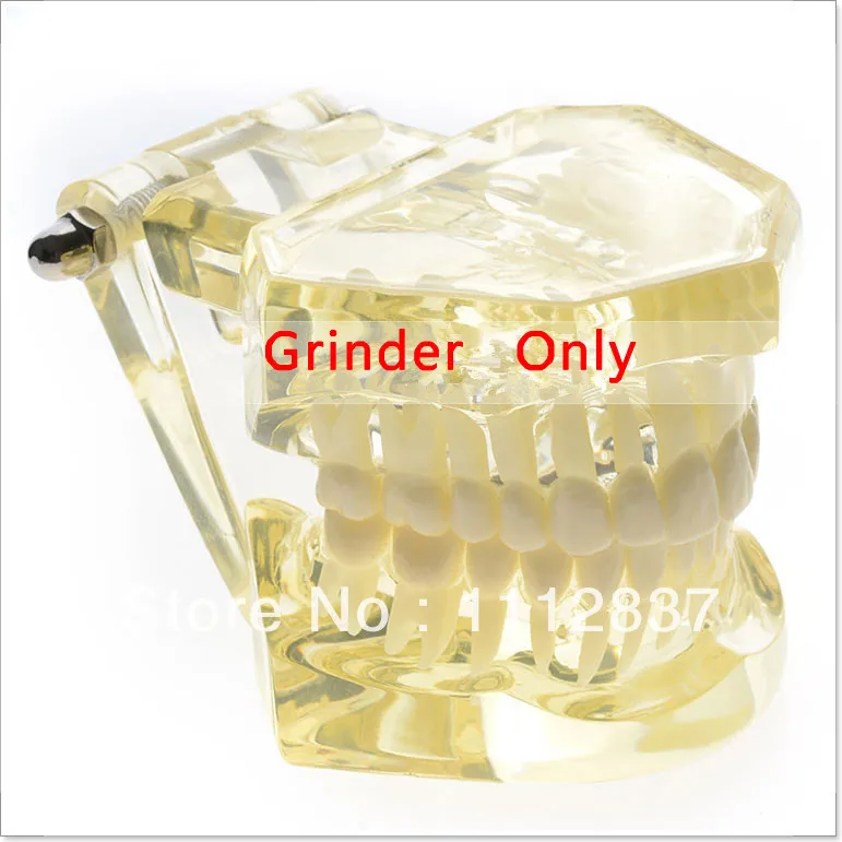Dentist lab Dental Demonstration model for Orthodontic Yellow with inside metal bracke t oral hygiene Teeth whitening | Красота и